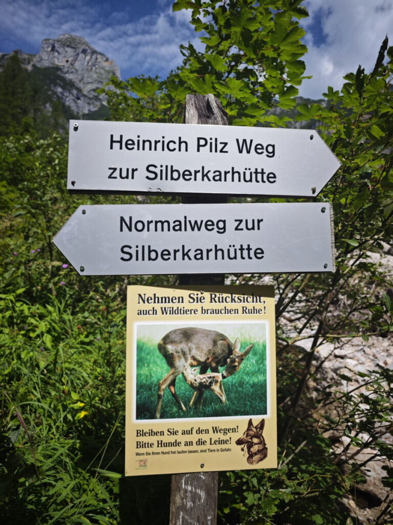 Oberhalb der Silberkarklamm kannst du dich für diese beiden Wegvarianten entscheiden